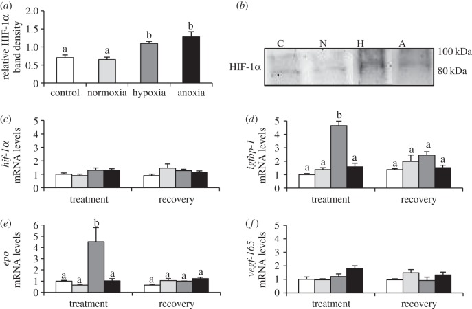 Figure 2.