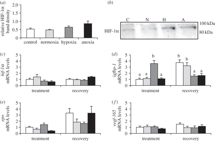 Figure 1.