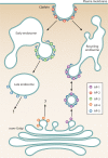 FIG 2