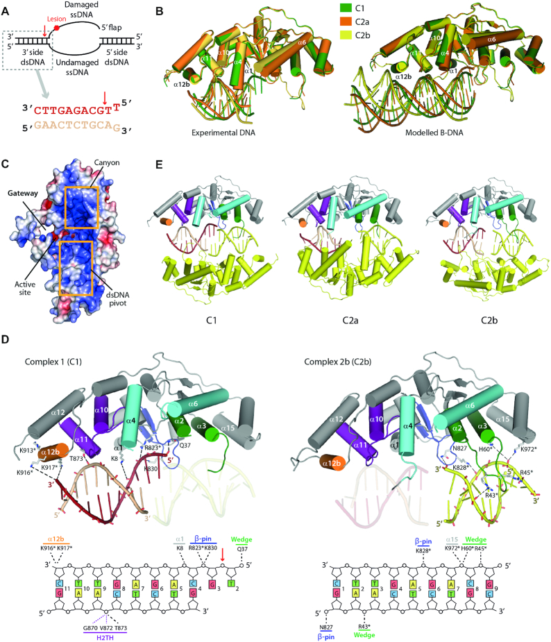 Figure 2.