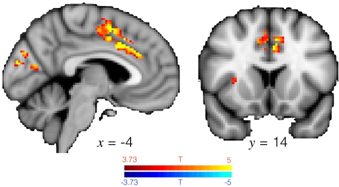 Figure 3—figure supplement 3.