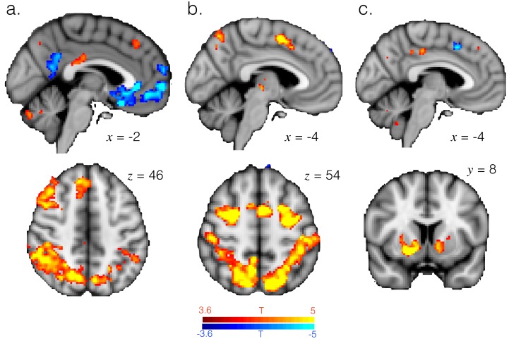 Figure 1—figure supplement 3.