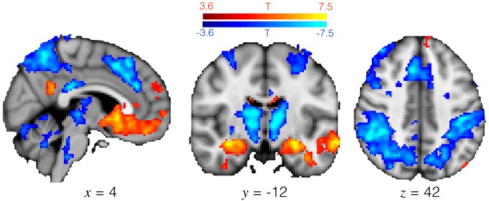 Figure 1—figure supplement 2.