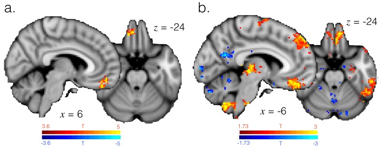 Figure 2—figure supplement 1.