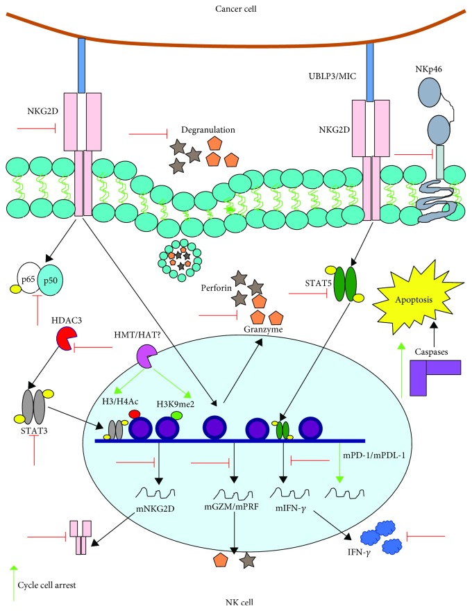 Figure 7