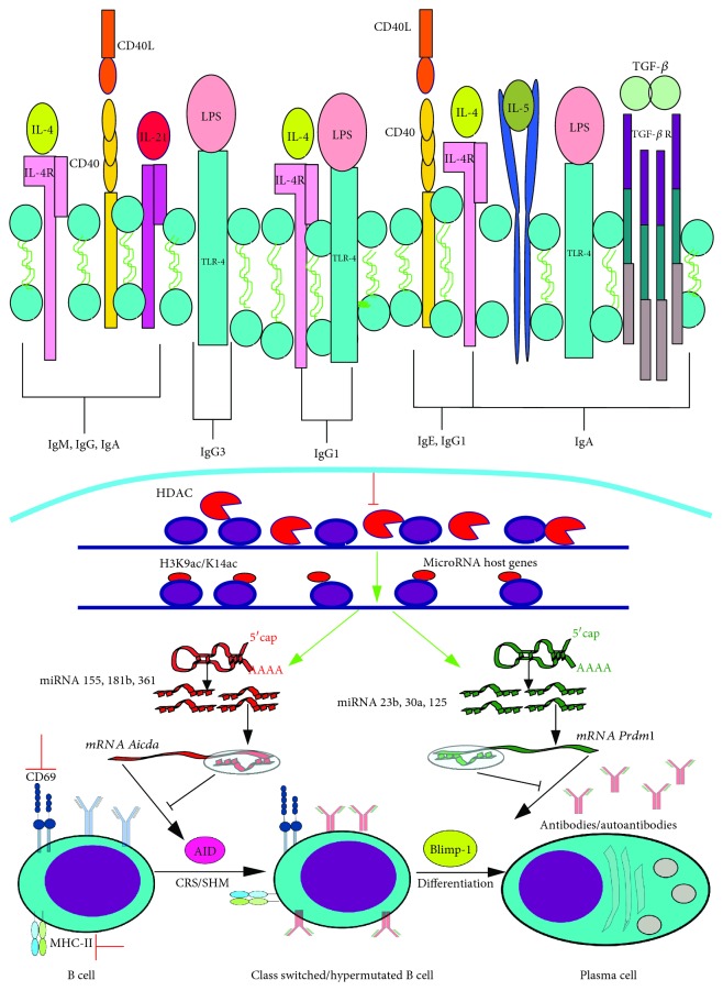 Figure 10