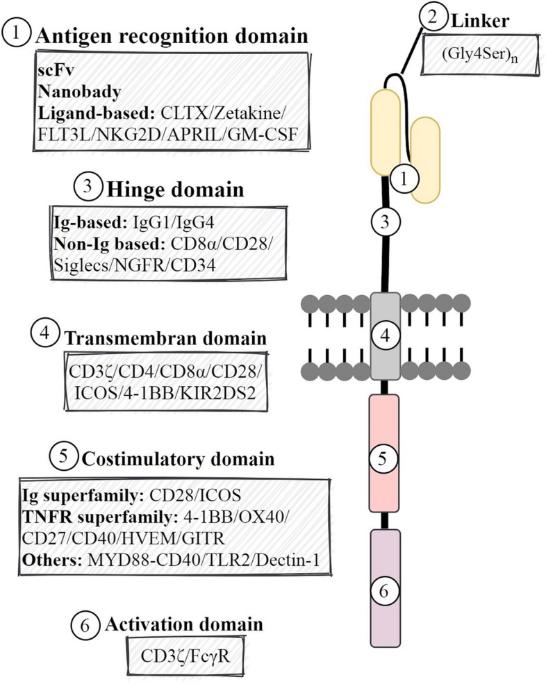 Fig. 5