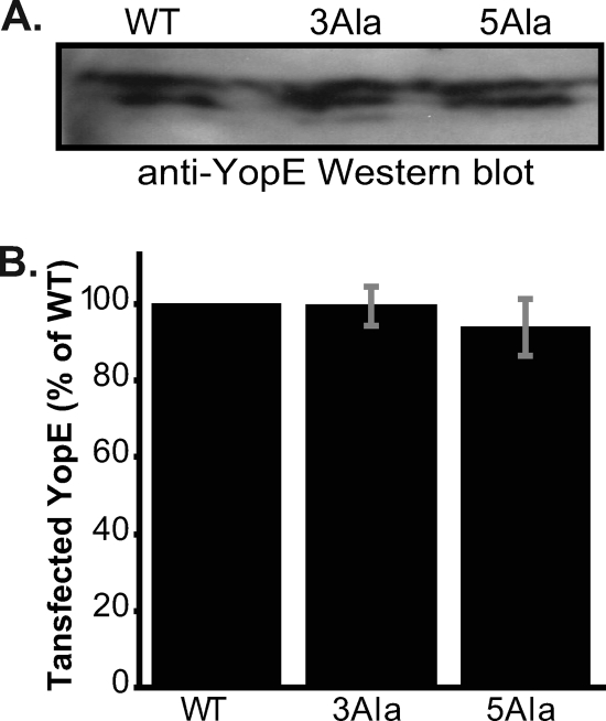 FIG. 6.