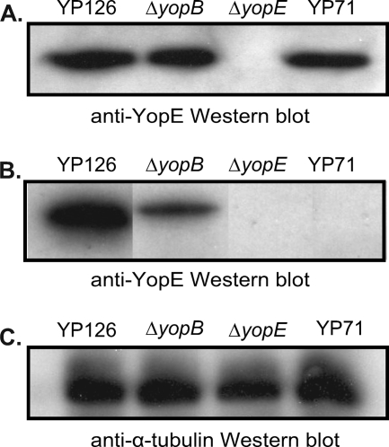 FIG. 7.