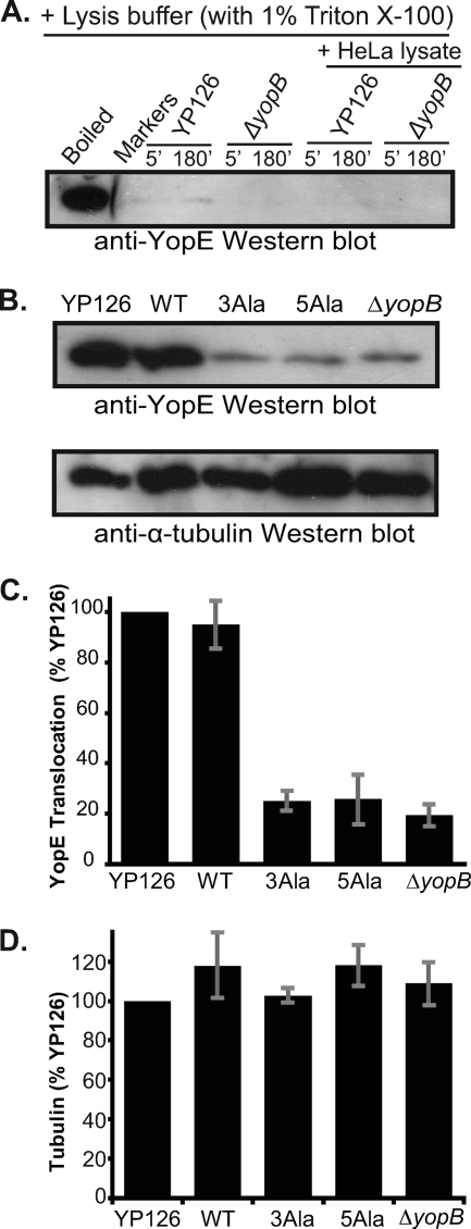 FIG. 5.