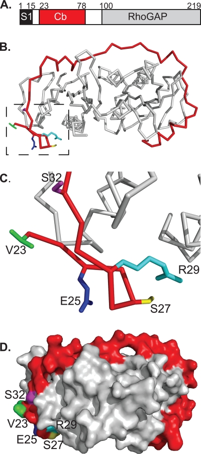 FIG. 1.