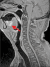 Fig 1.