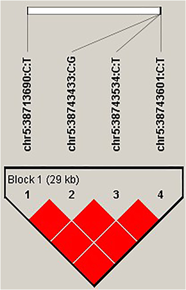 FIGURE 4