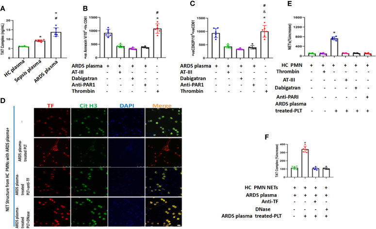 Figure 6