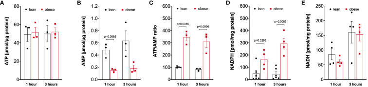 Figure 5