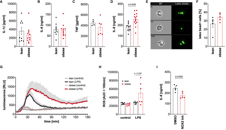 Figure 6