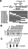 FIG. 8.