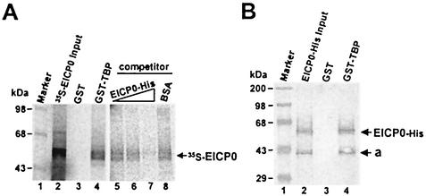 FIG. 9.