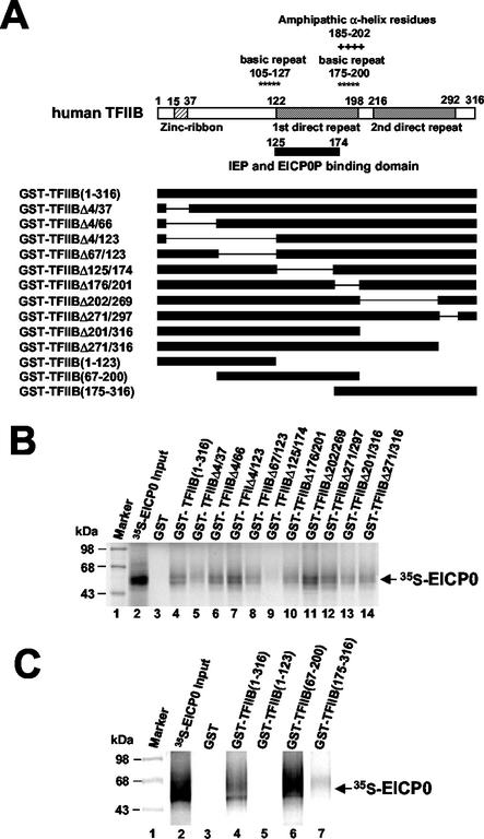 FIG. 8.