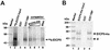FIG. 9.