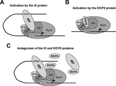 FIG. 10.