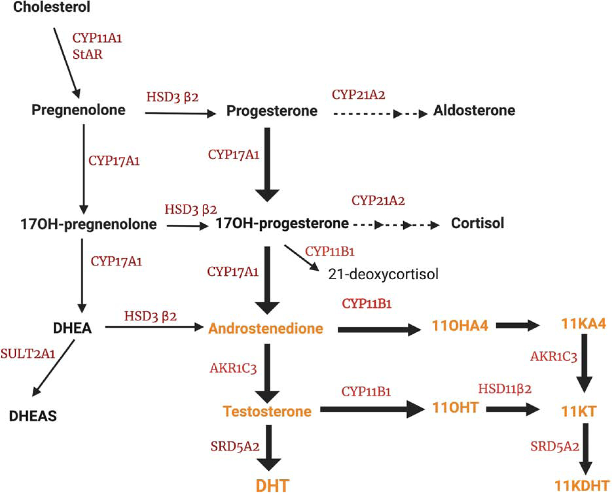 Figure 1 :