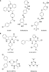 Fig. 2
