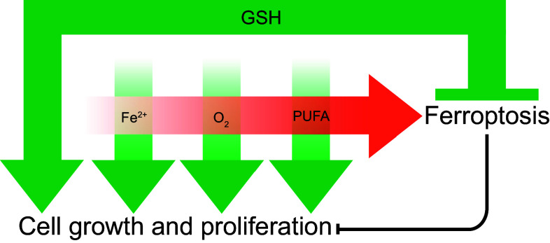 Fig. 3