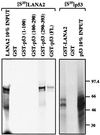 FIG. 9