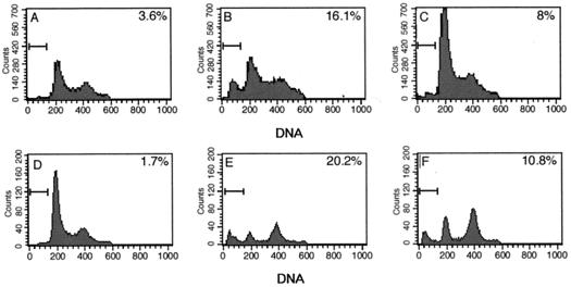 FIG. 10