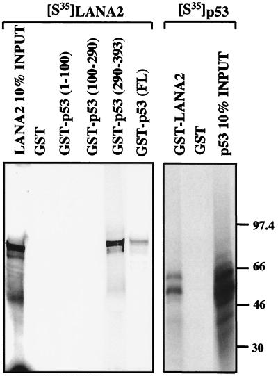 FIG. 9