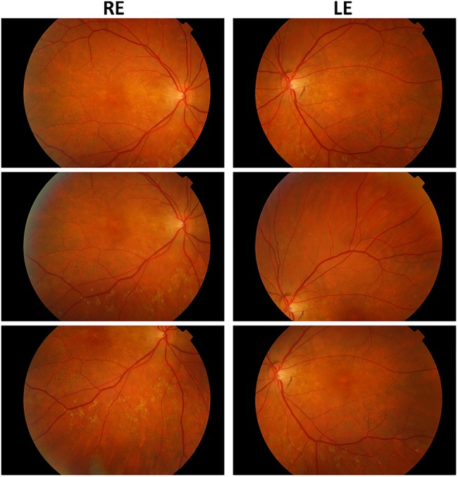 Figure 1