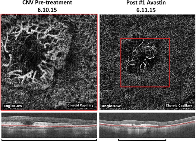 Figure 3