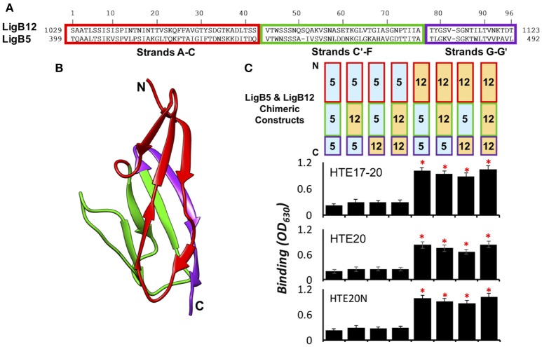 Figure 5