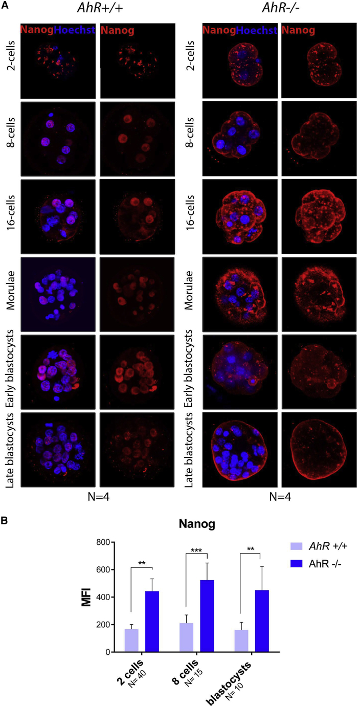 Figure 4