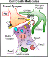 Figure 3.