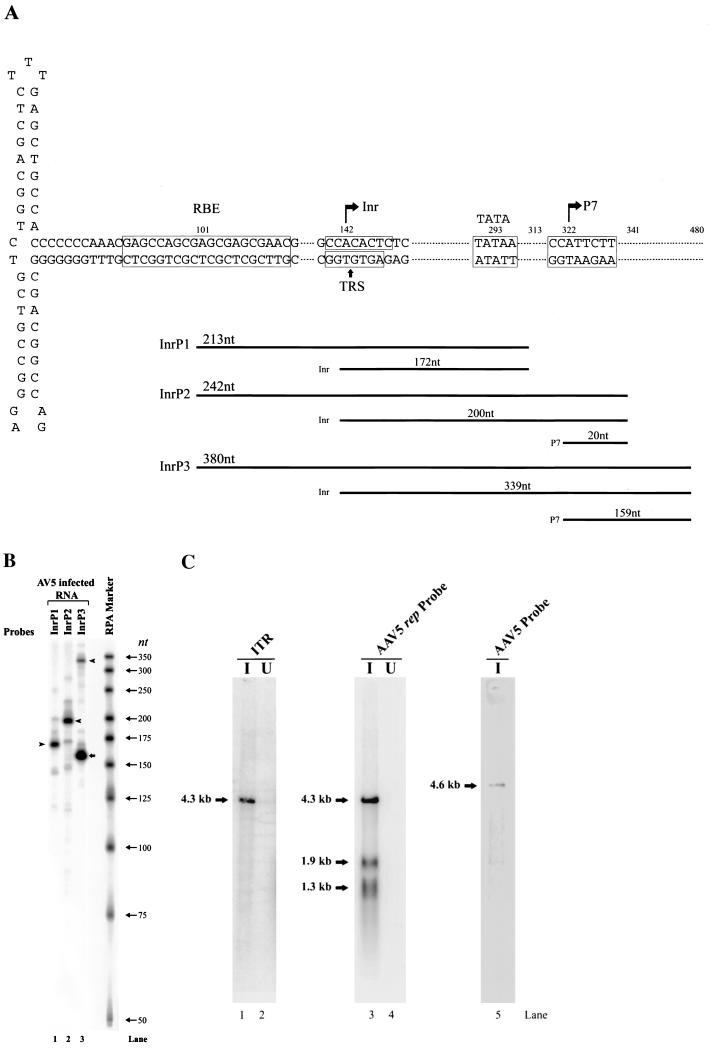 FIG. 4.