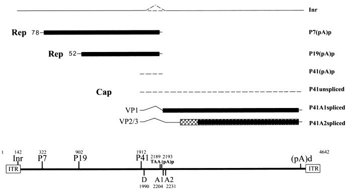 FIG. 7.