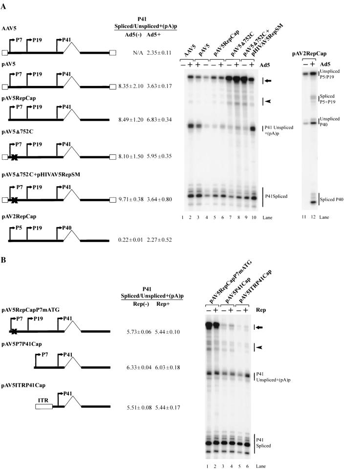 FIG. 6.