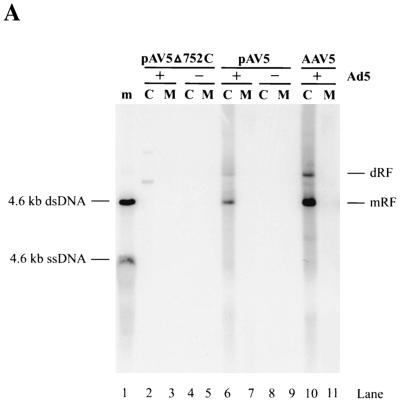 FIG. 5.