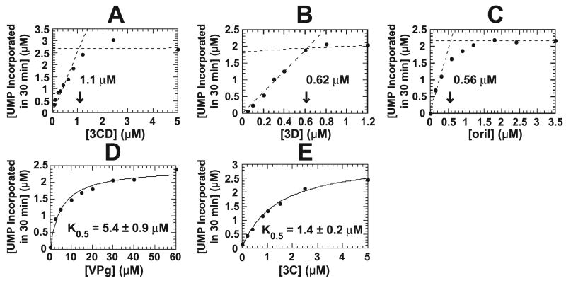 FIGURE 3