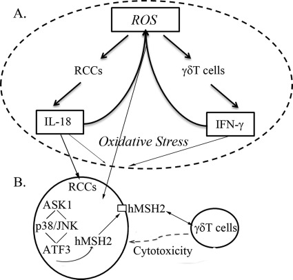 FIGURE 7.