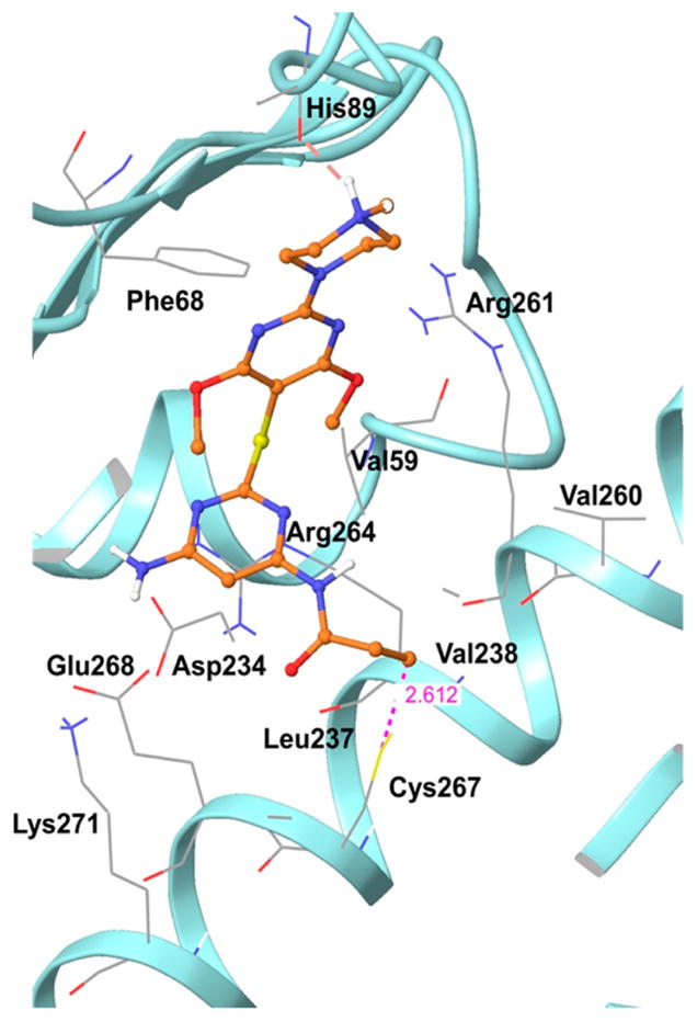 Figure 5