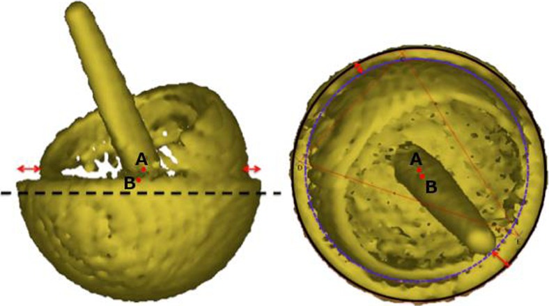 Fig. 5