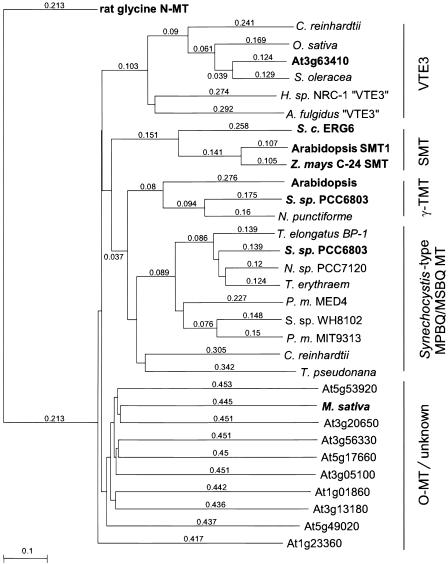 Figure 2.