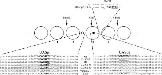 FIG. 7.