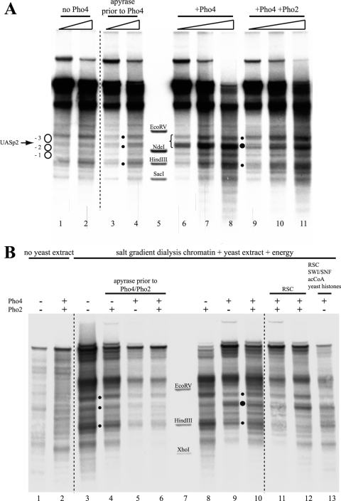 FIG. 5.