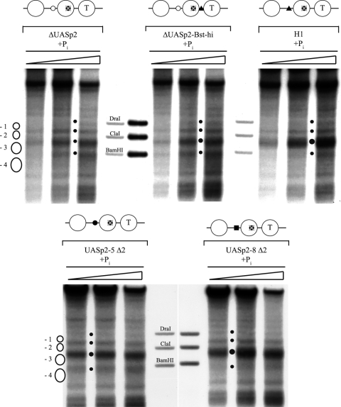 FIG. 9.