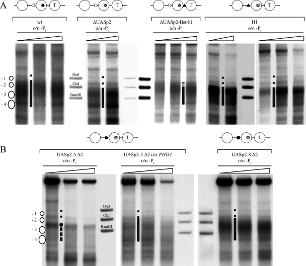 FIG. 8.