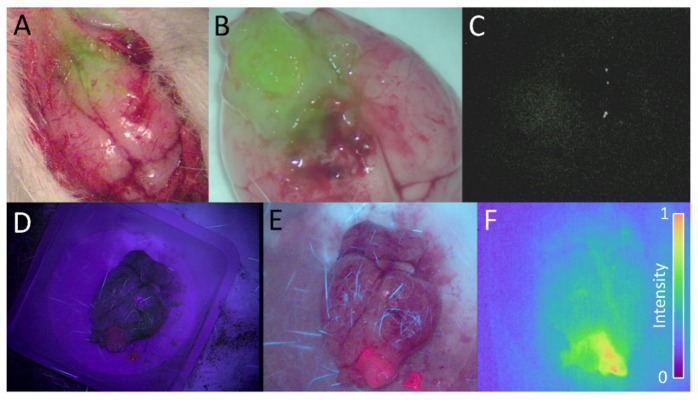 Fig. 4